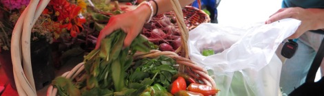Person grabbing sorrel greens from a basket displayed on the Edible Campus Garden Farmers Market booth