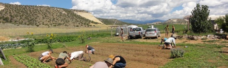 Students farming in Boulder, Utah.